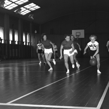 1956-122 Matchbild Damer