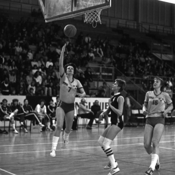 1981-0145 Britt-Marie Andersson-Ann-Marie Wikner